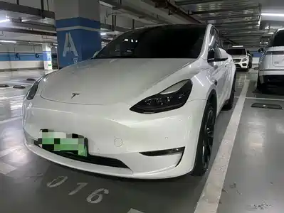 Tesla Model Y 2021