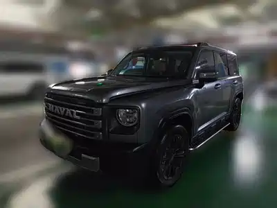 Haval Meng Long NEV 2024