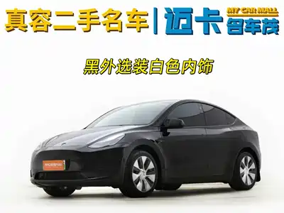 Tesla Model Y 2022