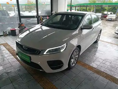 Geely Binrui 2021