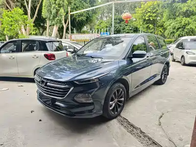 Wuling Motors Victory 2021