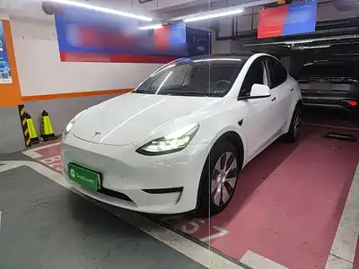 Tesla Model Y 2021