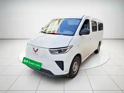 Wuling Motors Yangguang 2025