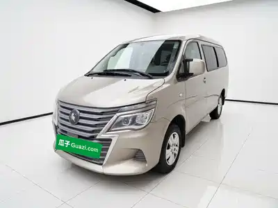 Dongfeng Fengxing Lingzhi 2025