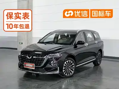 Wuling Motors Victory 2024
