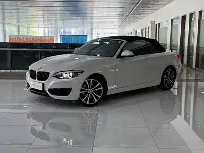 BMW 2 Series (Import) 2021