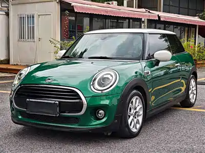 MINI MINI 2020