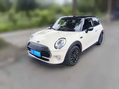 MINI MINI 2014