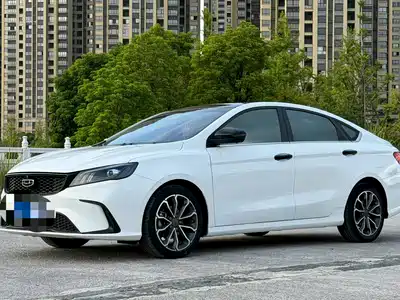 Geely Binrui 2021