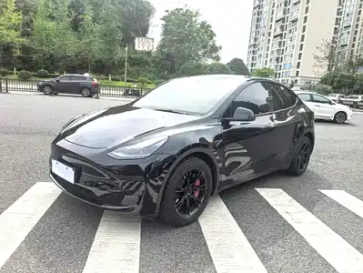Tesla Model Y 2024