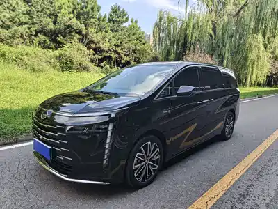 GAC Trumpchi E8 NEV 2024