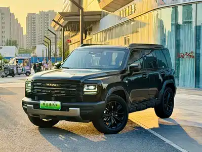 Haval Meng Long NEV 2025
