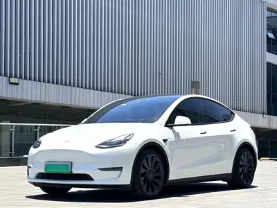 Tesla Model Y 2021