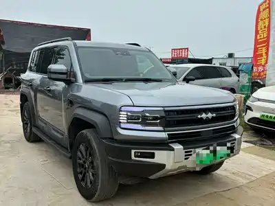 Fang Cheng Bao Leopard 5 2024