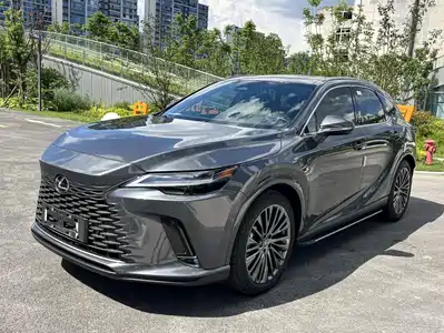 Lexus RX New Energy 2023