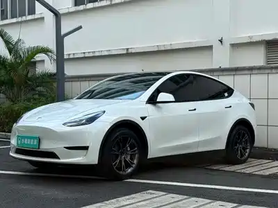 Tesla Model Y 2024