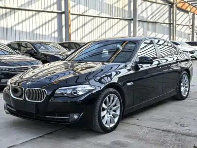 BMW 5 Series (Import) 2013