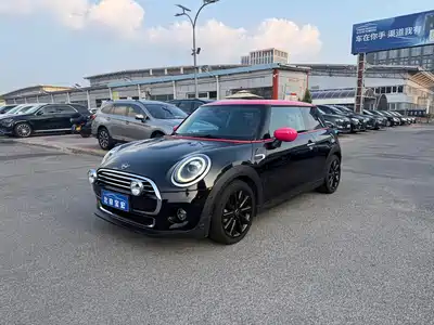 MINI MINI 2019