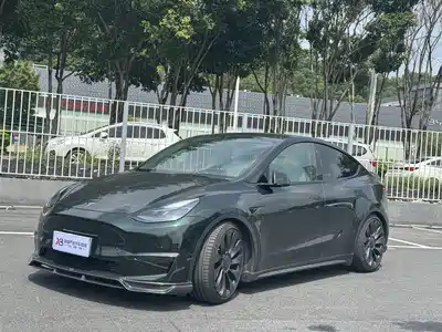 Tesla Model Y 2021