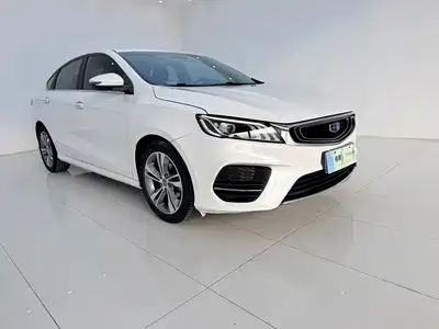 Geely Binrui 2019