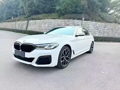 BMW 5 Series (Import) 2021