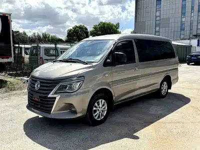 Dongfeng Fengxing Lingzhi 2021