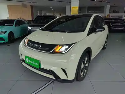 BYD Dolphin 2024