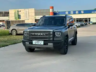 Haval Meng Long NEV 2025