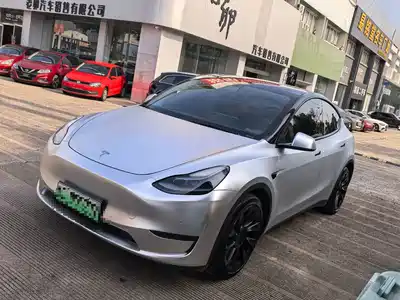 Tesla Model Y 2021