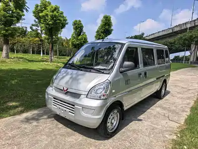 Wuling Motors Rongguang 2021