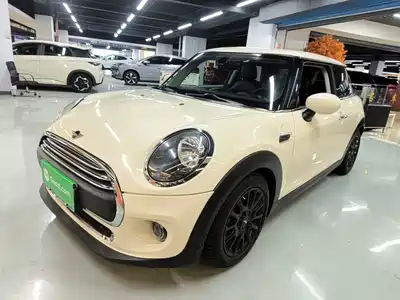 MINI MINI 2020