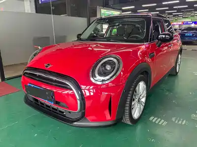 MINI MINI 2021