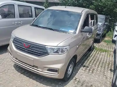 Wuling Motors Hongguang V 2024