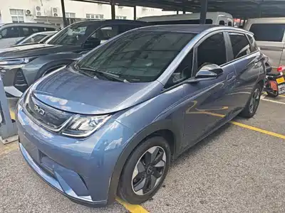 BYD Dolphin 2024