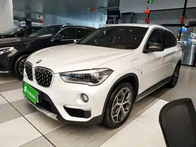 BMW X1 New Energy 2019
