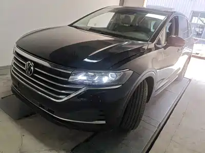 Volkswagen Viloran 2024