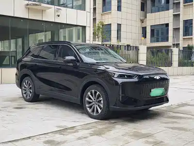 Chery Fengyun T9 2024