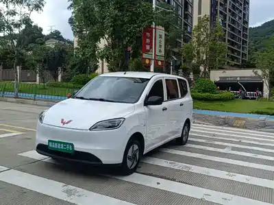 Wuling Motors Hongguang New Energy 2024