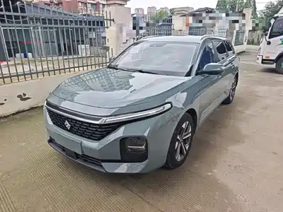 Baojun Valli 2021
