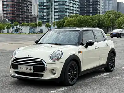 MINI MINI 2015