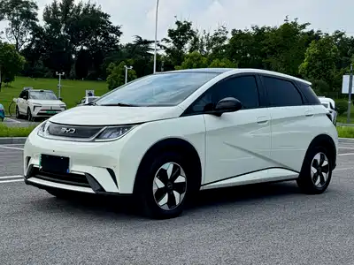 BYD Dolphin 2024