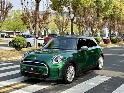 MINI MINI 2021