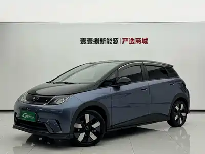 BYD Dolphin 2025