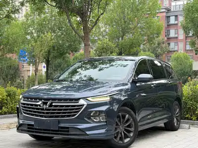 Wuling Motors Victory 2021