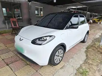 Wuling Motors Bingo 2024