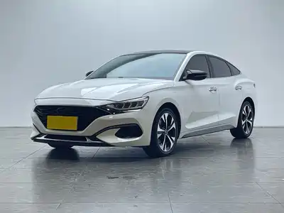 Hyundai Fista 2021