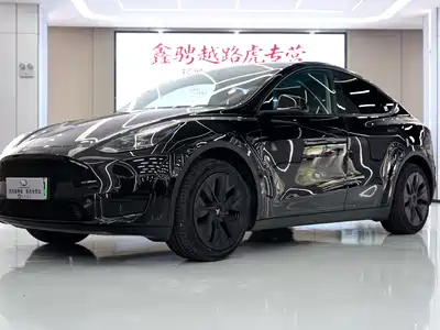 Tesla Model Y 2024