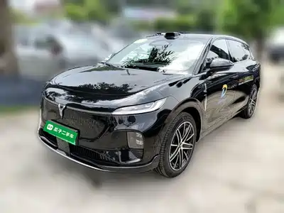 Voyah Auto Zhiyin 2025