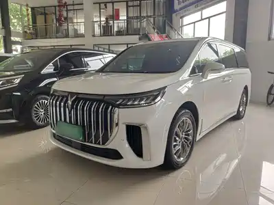 Voyah Auto Dreamer 2024