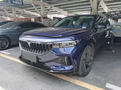 Voyah Auto FREE 2022